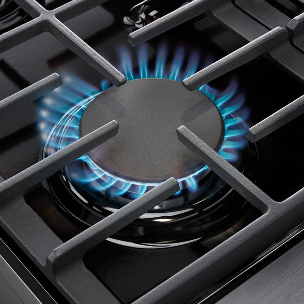 Alberta 48" | Silver | Full Gas Range